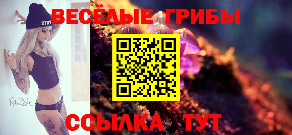 Псилоцибиновые грибы Psilocybe Белореченск